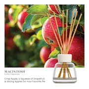 Macintosh