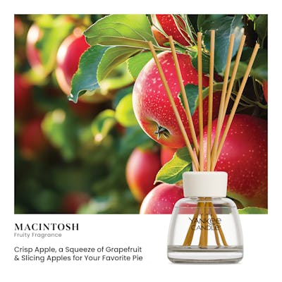 Macintosh
